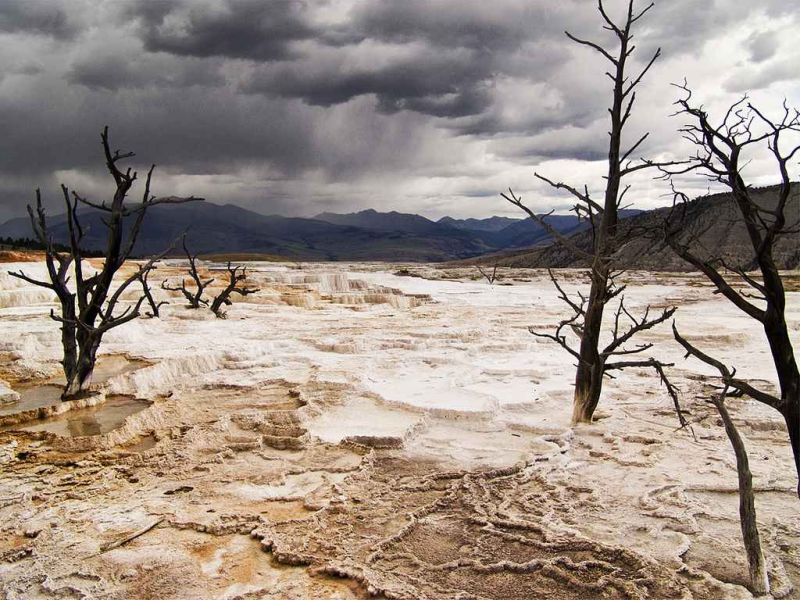 mammoth springs.jpg